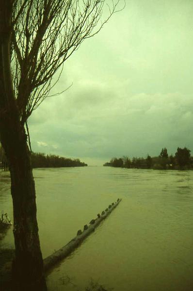 4-Minturno,Garigliano in piena,2 febbraio 1986.jpg